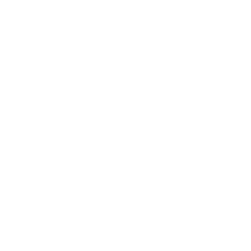 The Beauty Market